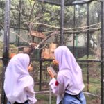 Taman Burung
